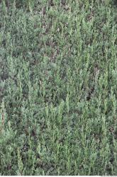 Photo of Mixed Nature Textures